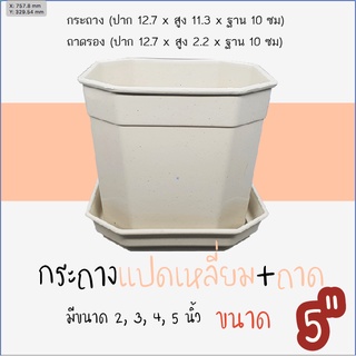 กระถางพลาสติก 8เหลี่ยม 5" พร้อมถาดรอง กระถางแคคตัส กระถางไม้อวบน้ำ