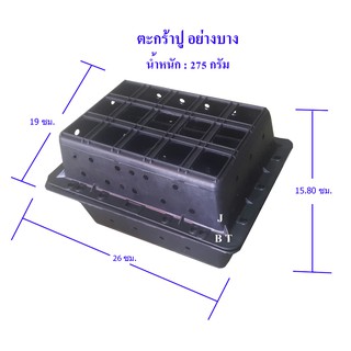 ตะกร้าปู บาง กล่องปูนิ่ม ตะกร้าเลี้ยงปู ตะกร้าเลี้ยงปูขุน กล่องเลี้ยงปู กล่องเลี้ยงปูดำ กล่องปู  ตะกร้า ปูดำ ปูนิ่ม ปู