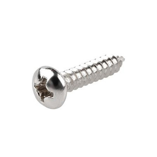 อุปกรณ์ยึดติด สกรูเกลียวปล่อย TP 12X1 นิ้ว 25 ตัว Screws, Nuts &amp; Washers