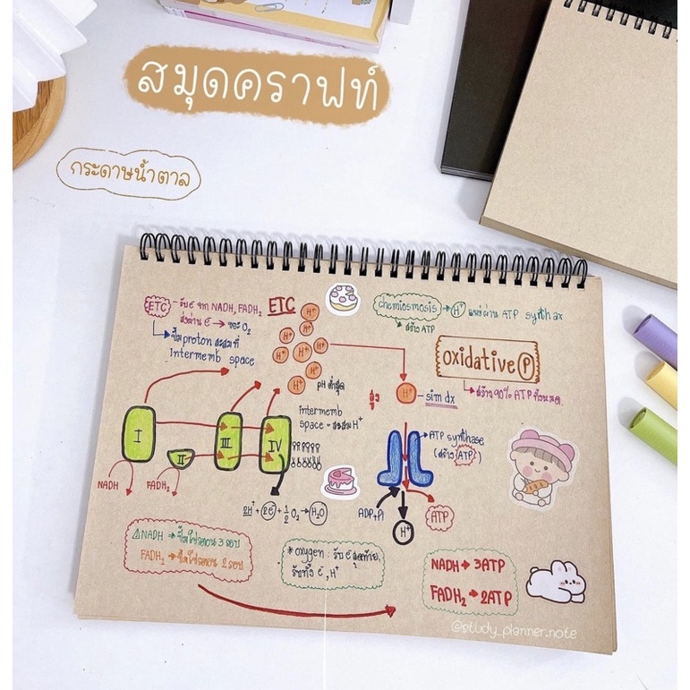 สมุดกระดาษคราฟท์📜 📜กระดาษสีน้ำตาล 🔺