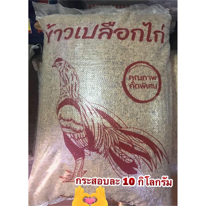 ข้าวเปลือกไก่ชน กระสอบละ 10 กิโล 1 ออเดอร์สั่งได้ 1 กระสอบ เกรดคัดพิเศษ