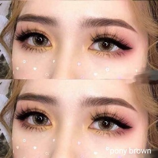 คอนแทคเลนส์ Sale ตาโต บิ๊กอาย รวมรุ่นขายดี By Sweety plus+ สีตาล/brown มีค่าสายตาปกติ