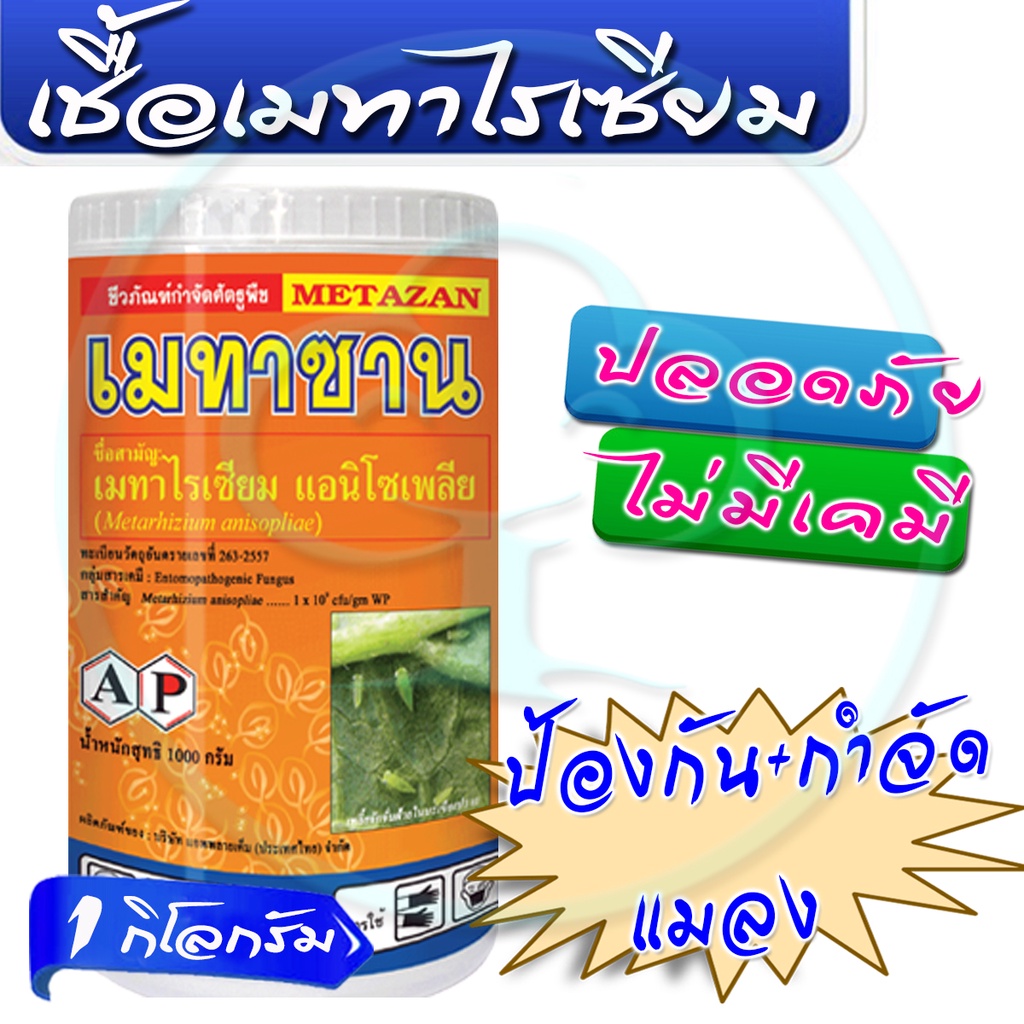 🔥ลด50% ใส่โค้ด INC3LE7Z🔥 เมทาไรเซียม 1กิโลกรัม ชีวภัณฑ์ กำจัดแมลง ออร์แกนิค เมทาซาน เมตาไรเซียม อะนิโซเพล