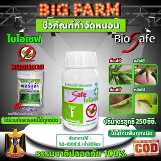 ไบโอเซฟ (Bio Safe) กำจัดหนอนศัตรูพืชทุกชนิด หนอนดื้อยา หนอนหนังเหนียว หนอนเจาะ หนอนแก้ว หนอนกอ ขนาด 250ซีซี.