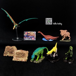 กาชาปอง ไดโนเสาร์ The Dinosaur Gallery vol. 2 Gashapon by Bandai (Set of 8)