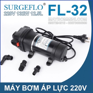 ปั้ม จ่ายอัตโนมัติ อเนกประสงค์ ยี่ห้อ SURGEFLO FL-32