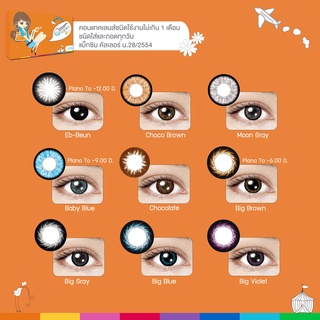 ส่งฟรี | Aboutlens | Maxim Big Eye ตาโต กล่องส้ม