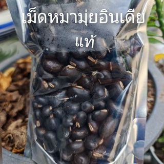 เม็ดหมามุ่ยดิบ ขนาด1กิโลกรัม