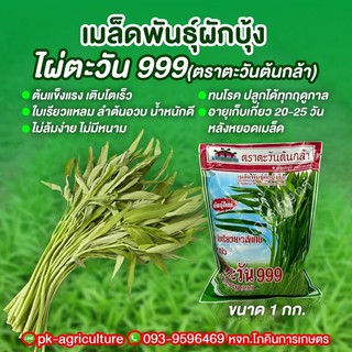 เมล็ดพันธุ์ผักบุ้งจีน ไผ่ตะวัน 999 ขนาด 1 กก.
