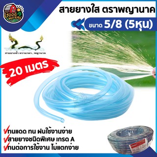 ตราพญานาค 🇹🇭สายยางใส 5/8 5หุน ยาว 20 เมตร สายยาง แบบใส สายยางน้ำ อุปกรณ์เกษตร สวน ส่งฟรีทั่วไทย เก็บเงินปลายทาง