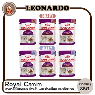 Royal Canin Sensory อาหารเปียกแมว สำหรับแมวช่างเลือก แมวกินยาก มีทั้งแบบเจลลี่ และเกรวี่ 85G