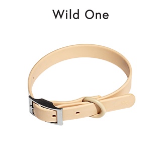 Wild One - Collar ปลอกคอสุนัข │ Tan