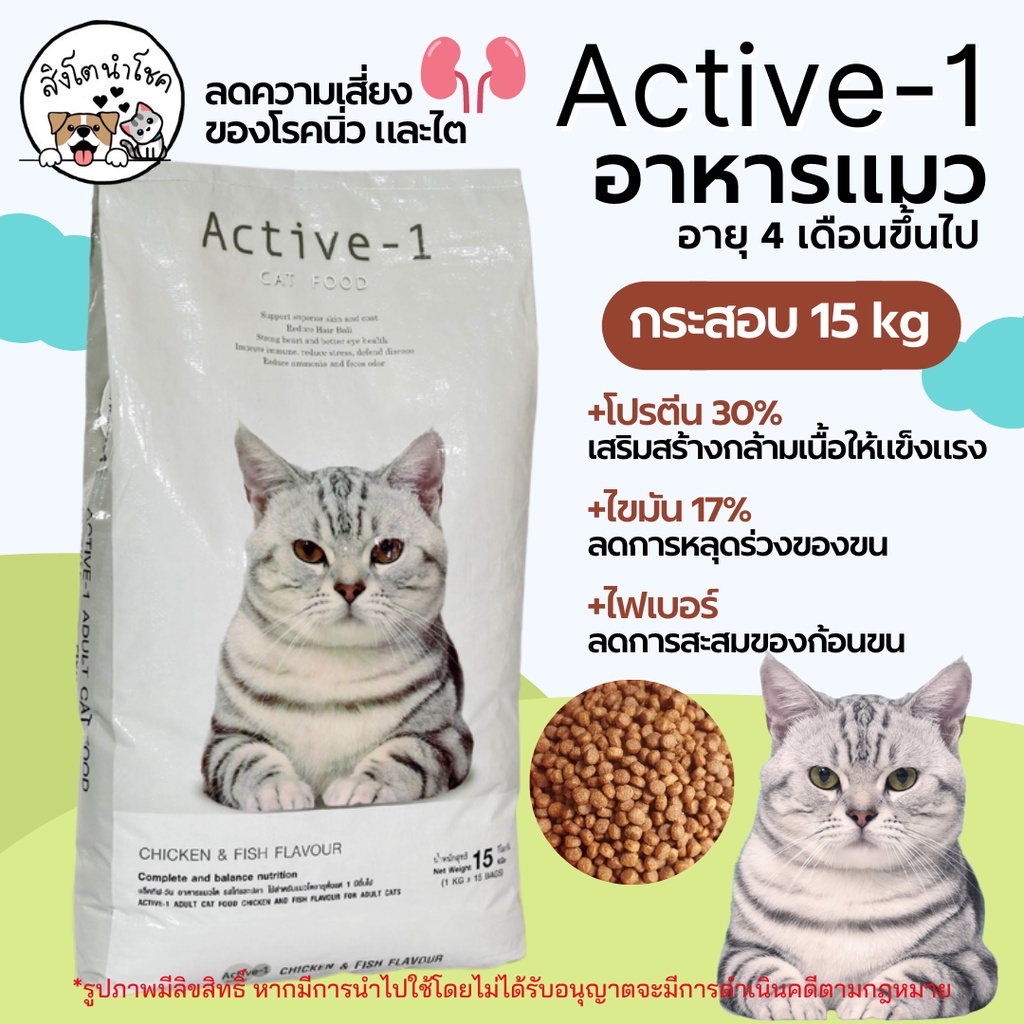 000 #มีโค้ดส่งฟรี 🐶🐱สิงโตนำโชค🐱🐶 [กระสอบ15กก] Active-1 แอคทีฟวัน อาหารแมว อาหารเม็ดแมว อาหารแมวกระสอ