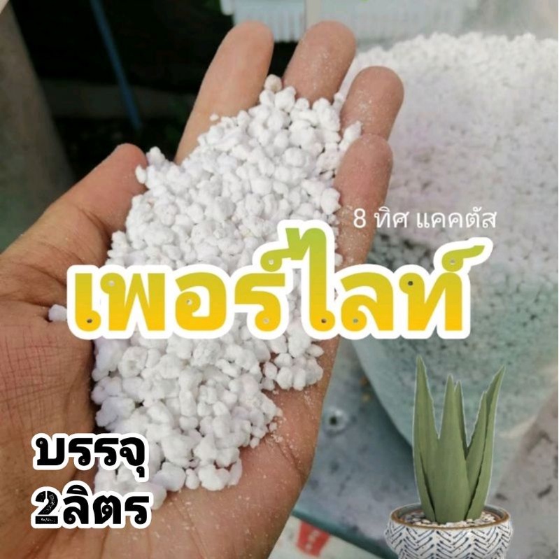 // เพอร์ไลท์ เวอร์มิคูไลท์ //2 ลิตร // perlite แร่ธาตุ สารอาหาร ดินโปร่ง วัสดุปลูก