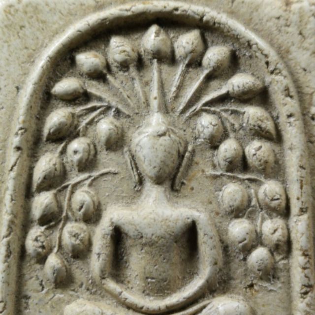 My Image 73