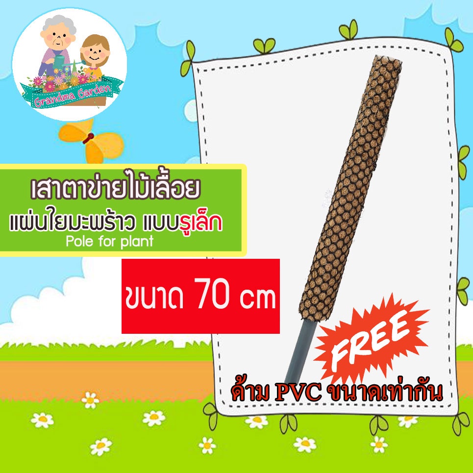 เสาไม้เลื้อย 70cmรูเล็ก แถมท่อแกนเสา PVC ไม้หลักต้นไม้ เสาไม้เลื้อย หลักไม้เลื้อย ไม้ค้ำต้นไม้ 🍀 มิน