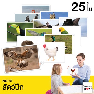 flashcard แฟลชการ์ด บัตรคำศัพท์ใหญ่ [ หมวดสัตว์ปีก Birds ]