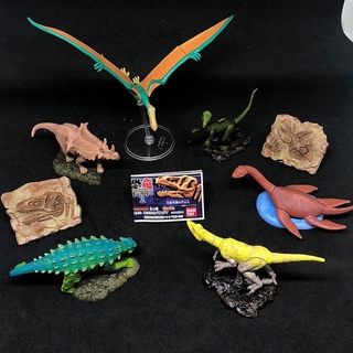 กาชาปอง ไดโนเสาร์ The Dinosaur Gallery vol. 2 Gashapon (Set of 8)