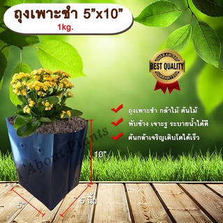 ถุงเพาะชำ 5”x10” 1 kg. ถุงเพาะชำสีดำ ถุงเพาะชำกล้าไม้ ต้นไม้ ถุงดำ allaboutplants