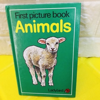 First Picture book Animals ปกแข็ง-bg1