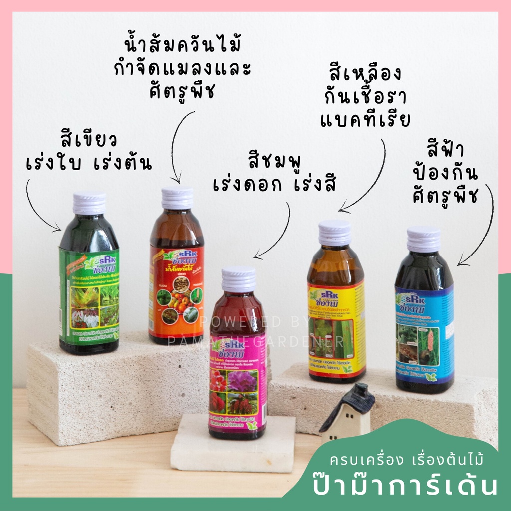 มุมมอง 2