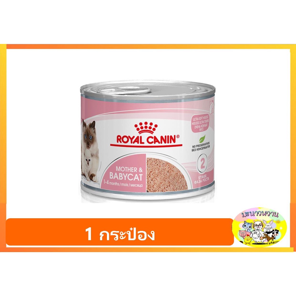 Royal Canin ฺBabycat & Mother แมว ชนิดกระป๋อง (12 กป)