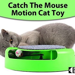 #P038 ของเล่นแมวไล่จับหนู เกมส์แมวจับหนู Catch the Mouse motion cat toy (สีเขียว)