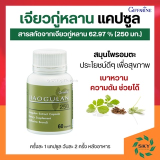 [ ส่งฟรี ] เจียวกู่หลาน กิฟฟารีน jiaogulan GIFFARINE ลดไขมันในเลือด ต้านมะเร็ง บำรุงหัวใจ ลดน้ำตาลในเลือด