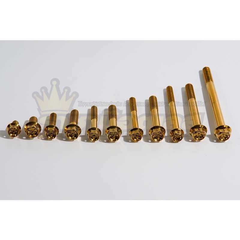 น๊อตหัวเจาะดอกไม้[เจาะดาว] เบอร์10 (M6) 6x10-6x80 เลส ทอง ไทเท ราคา ต่อ 1ตัว