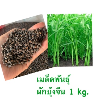 เมล็ดพันธุ์ ผักบุ้งจีน น้ำหนัก 1 กิโลกรัม