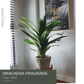 Dracaena fragrans90 CM- ต้นวาสนา ต้นไม้ปลอม เกรดพรีเมี่ยมเพื่อการตกแต่ง ต้นไม้ประดิษฐ์ Premium Artificial plant