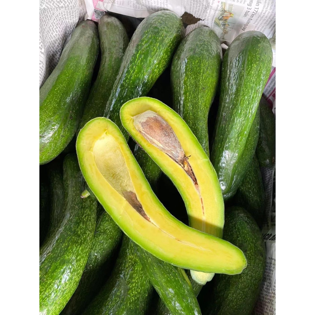 ท้ายฤดูกาลแล้ว🥑 อโวคาโด้ สายพันธุ์034🥑  อร่อยหนึบหนับ แก่จัด ( 牛油果 Avocado)