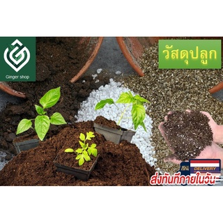 วัสดุปลูก พีทมอส(Peatmoss) เพอร์ไลท์ (perlite) เวอร์มิคูไลท์ (Vermiculite)