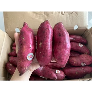 พร้อมส่ง‼️1KG มันหวานญี่ปุ่นสด เบนิฮารุกะปลูกเวียดนาม sweet potato