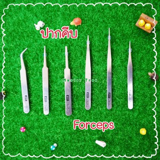 Mastercheech [โพสต์ 1] ปากคีบสแตนเลส forceps🇹🇭พร้อมส่ง🇹🇭