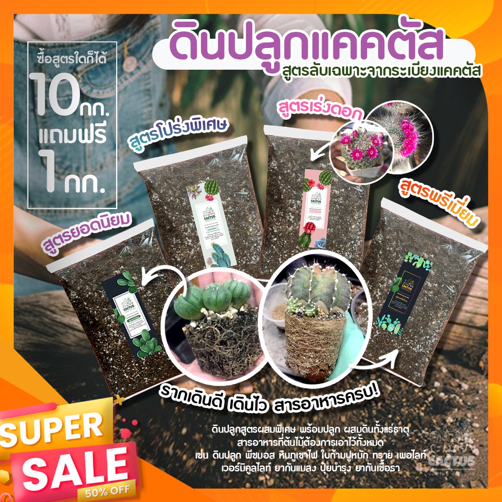 🌵ดินปลูกแคคตัสพรีเมี่ยม🌵พร้อมปลูก 💥 ส่วนผสม10ชนิด จัดเต็ม !! 💥ดินปลูก 💥ดินแคคตัสพรีเมี่ยม 💥ดินกระบอง