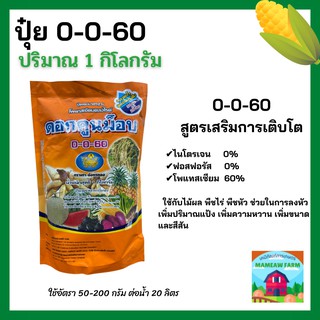 ปุ๋ย 0-0-60ใช้ได้กับพืชทุกชนิดทั้งนาข้าวและพืชไร่