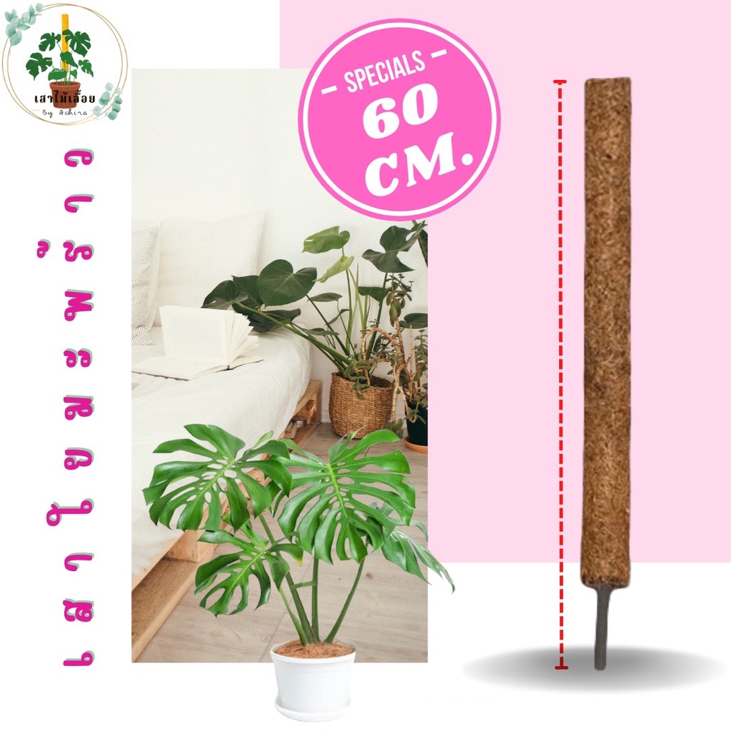 เสาใยมะพร้าว ขนาด 60 CM. สวย แข็งแรงทนทาน เสาไม้เลื้อย