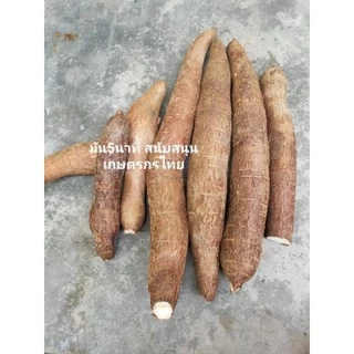 มัน5นาทีกิโลละ30บาทจ้า(อ่านรานละเอียดก่อนสั่ง)