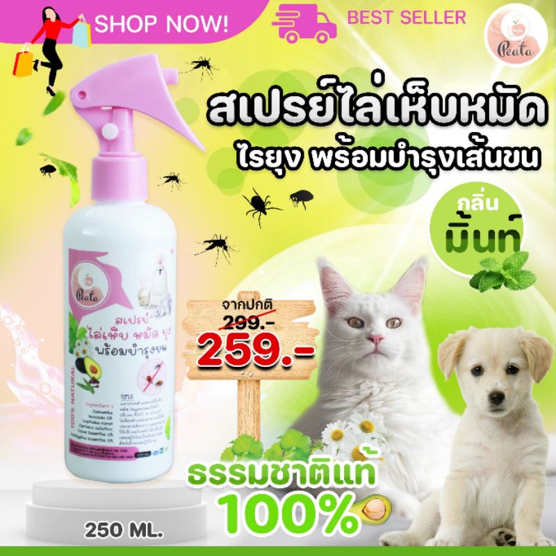 สเปรย์ไล่เห็บ หมัด ไร ยุง สำหรับ สุนัข แมว – Nature Plus ราคา ถูกที่สุด ดีลบีเคเค แกลเลอรีภาพที่ 5