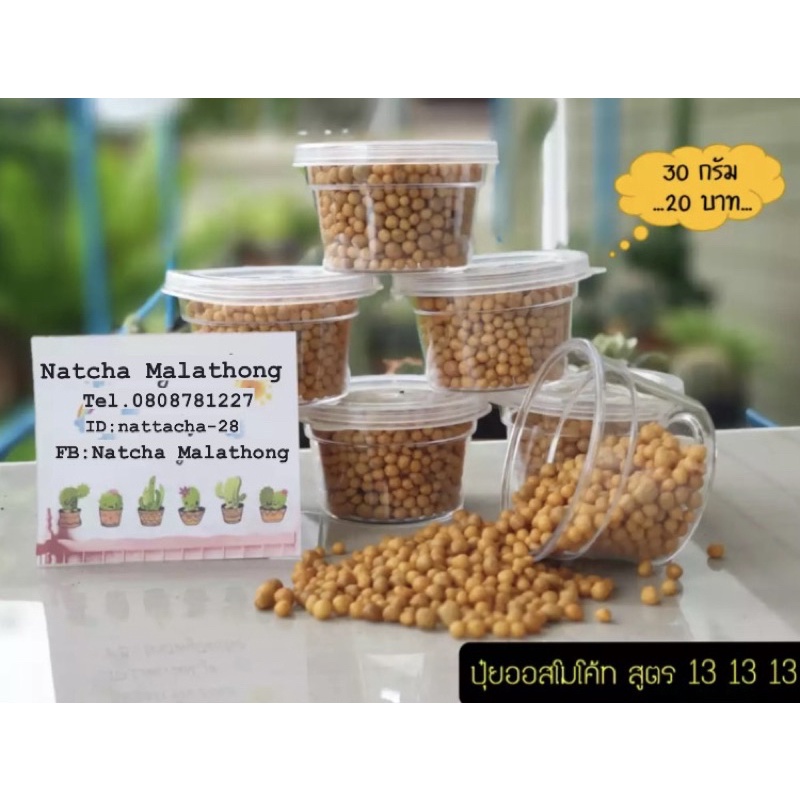 ปุ๋ยออสโมโค้ท ละลายช้า 100 กรัม (แบ่งบรรจุ) สูตรเสมอ 16-16-16 4เดือน มัลติเทค (ปุ๋ยออสโมโค้ท Osmocot