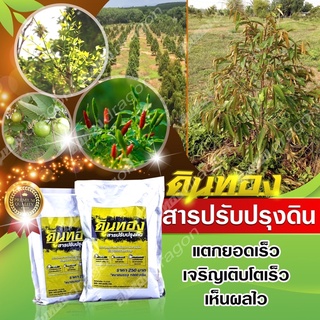 ดินทอง สารปรับปรุงดิน