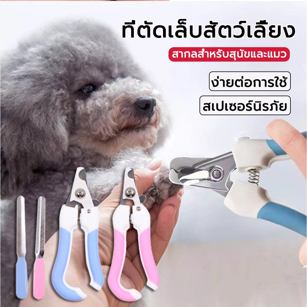 #พร้อมส่ง
#ไม่ต้องรอนาน
#จัดส่งจากกรุงเทพ
#รับผิดชอบสีผิดเสียหาย
#กรรไกรตัดเล็บสัตว์