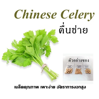 เมล็ดคื่นช่าย 10 บาท 1000 เมล็ด เพาะง่าย อัตราการงอกสูง ผัก เมล็ดผัก เมล็ดพันธุ์ ผักสวนครัว ผักสลัด