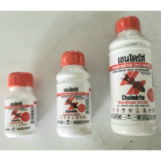 เชนไดร้ เชนไดรท์ chaindrite 30sc กำจัดปลวก เชนไดร้น้ำ น้ำยากำจัดปลวก มด แมลง 250ml 500ml 1000ml