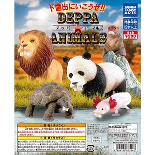 Gashapon Deppa Animals – กาชาปอง สัตว์ฟันเหยิน สิงโต แพนด้า เต่า ลิง เด็พปะ