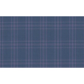 Fine Fabrics Fine &amp; Dandy/59500 Col.2 Luiciano Brand Jacketing Fabrics Check Pattern 595020
