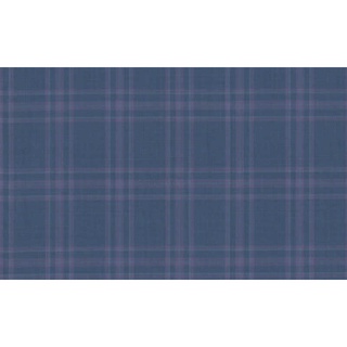 Fine Fabrics Fine &amp; Dandy/59500 Col.2 Luiciano Brand Jacketing Fabrics Check Pattern 595020