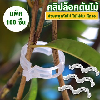 คลิปล็อคต้นไม้ สายรัดต้นไม้ คลิปพยุงต้นไม้  พลาสติกพยุงไม้เลื้อยกับเชือก กันต้นไม้ล้ม ต้นไม้งอ แบบ 100 ชิ้น No.KS086