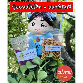 ออสโมโค้ท (Osmocote) + สตาร์เกิล จี (Starkle G) 20 กรัม